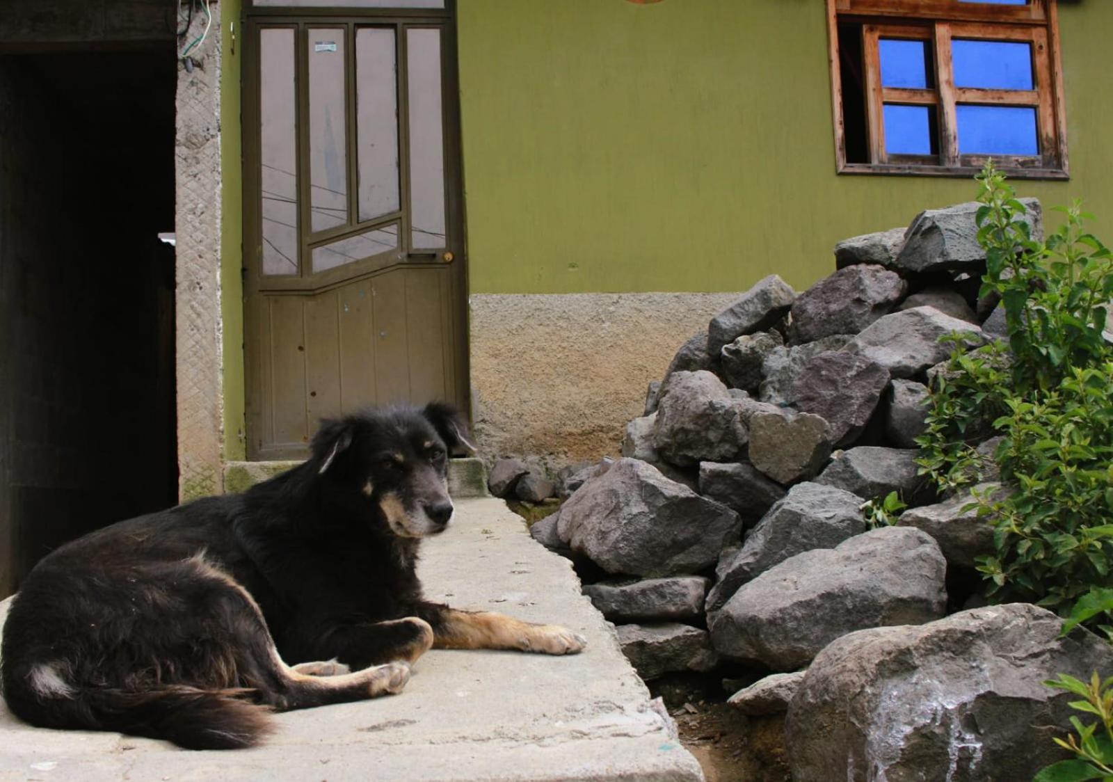 Posada Del Viajero - Mayan Travelers Inn Santa Cruz La Laguna Kültér fotó